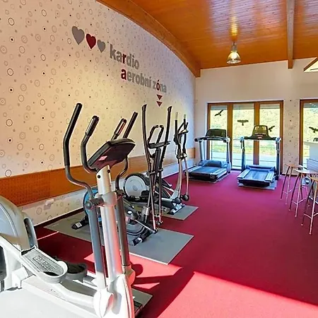 Vz Merin 3* Stechowitz