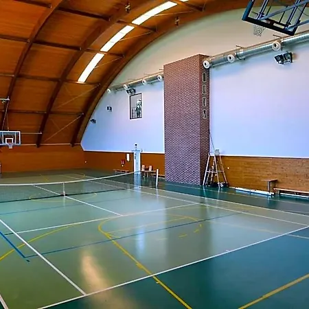 Vz Merin Stechowitz